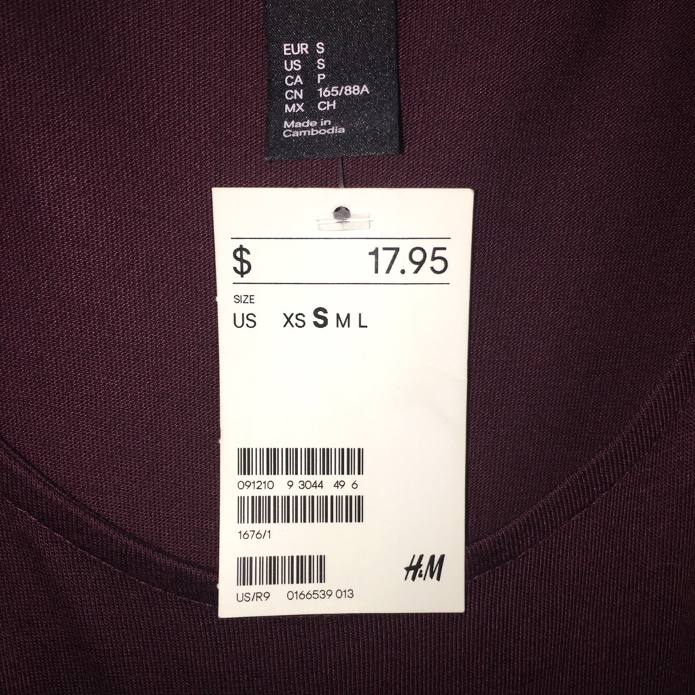 Long Plum H&M Dress